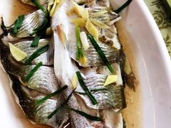 -观桥阁(锦溪店)