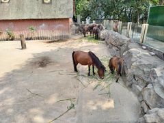 -广州动物园