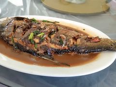 红烧大鳊鱼-乡乐园蟹庄·阳澄湖农家乐