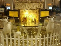 -成都新东方千禧大酒店-琥珀西餐厅