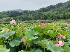 -南北湖风景区