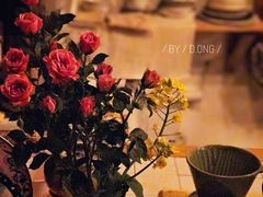 -春风十里咖啡馆