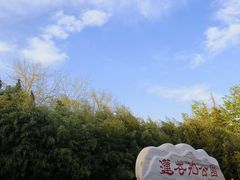 -莲花池公园