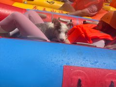 -安吉龙王山峡谷漂流