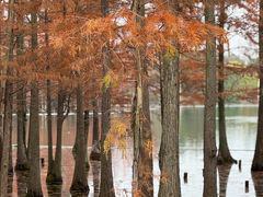 -白鹭湾湿地公园
