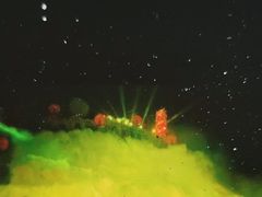 -《神游传奇》秀