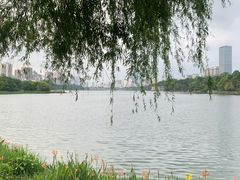 -南宁南湖公园