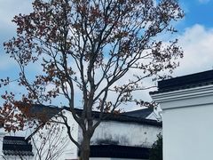 -王阳明故居
