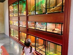 -帕帕拉兹宠物(亚洲旗舰店)