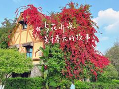 -成都南湖公园
