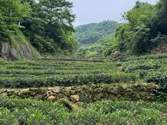 -午潮山国家森林公园