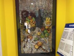 -杨梅红艺术教育(凤城教学中心)