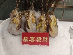 -喜聚薈·花膠雞海鮮火鍋(越秀店)