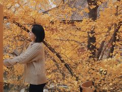 -腾爱熊猫咖啡生活馆(老东门店)