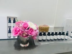 -奥斯芬欧系贵族SPA
