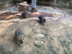 -杭州野生动物世界