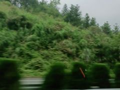 -大围山国家森林公园