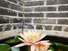 -老屋咖啡