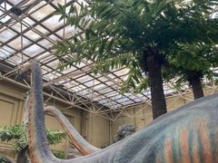 -国家自然博物馆