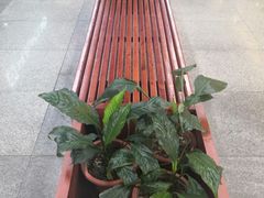 -连城·新天地(福华一路店)