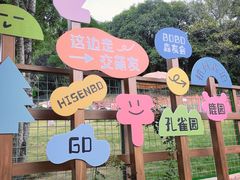 -杭州开元森泊度假乐园