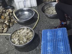 -花苑美食横琴生蚝火锅(拱北粤华路店)