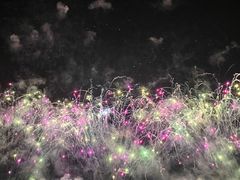 -南宁花花大世界景区