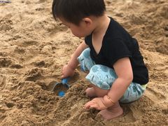 -碧海金沙