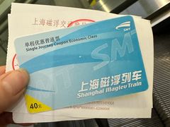 -龙阳路磁悬浮列车总站-停车场