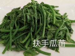 -粤北餐馆