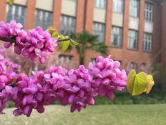 -同济大学(沪西校区)