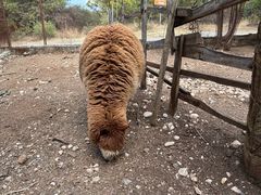 -猎鹰谷实弹射击俱乐部