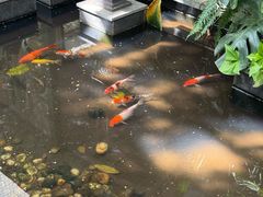 -绿房子方寸咖啡(星海名城店)