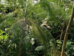 -呀路古热带植物园-恐龙馆