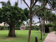 -三亚亚龙湾天域度假酒店