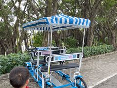 -大湾区中央湿地公园