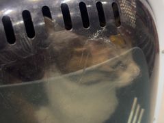 -心仪动物医院·牙专科·肿瘤·心脏科(西客站院)