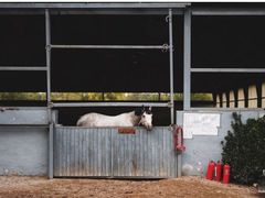 -月河湾马术俱乐部(朝阳店)