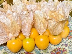 -仿膳饭庄·宫廷风味(百年传承店)