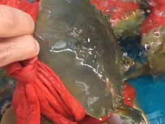 -老石湖大排档