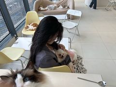 -怪兽屋·羊驼·猫咖·狗咖(俊华广场店)