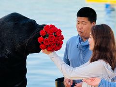 -秦皇岛乐岛海洋王国