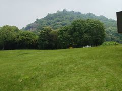 -绍兴镜湖国家城市湿地公园