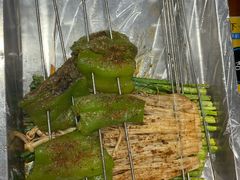 -虾女王·龙虾·烧烤(龙江店)