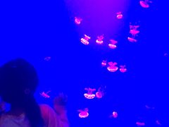 -鄂尔多斯野生动物园