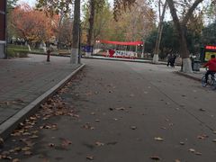 -山东理工大学