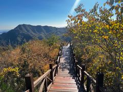-大岭沟猕猴桃谷风景区