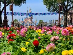 -上海迪士尼度假区