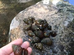 -辛玛王国游乐园