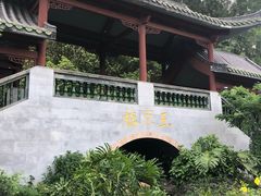 -广州神农草堂中医药博物馆